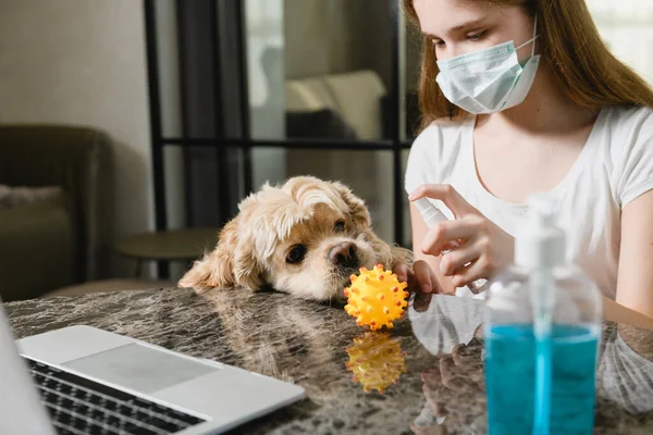 ocker Spaniel Alternatives for Allergy Sufferers