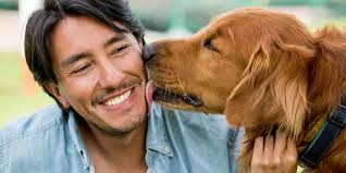 Dogs Give Them Kisses?