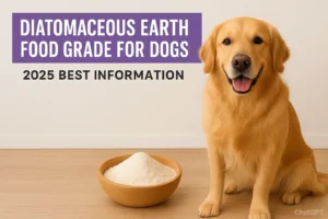 Diatomaceous Earth Food Grade for Dogs – a Golden Retriever sitting beside a wooden bowl filled with food grade diatomaceous earth powder, with 2025 best information text on banner.