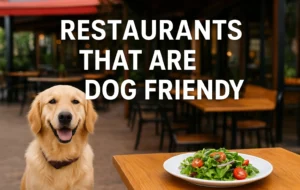 Digital featured image with the title “Restaurants That Are Dog Friendly: Where Your Pup is Always Welcome,” showing a cheerful dog sitting beside an outdoor restaurant table with food and drinks, symbolizing pet-friendly dining.