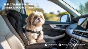 Best Car Seat for Shih Tzu Under 10 Pounds (2025 Guide + Picks)