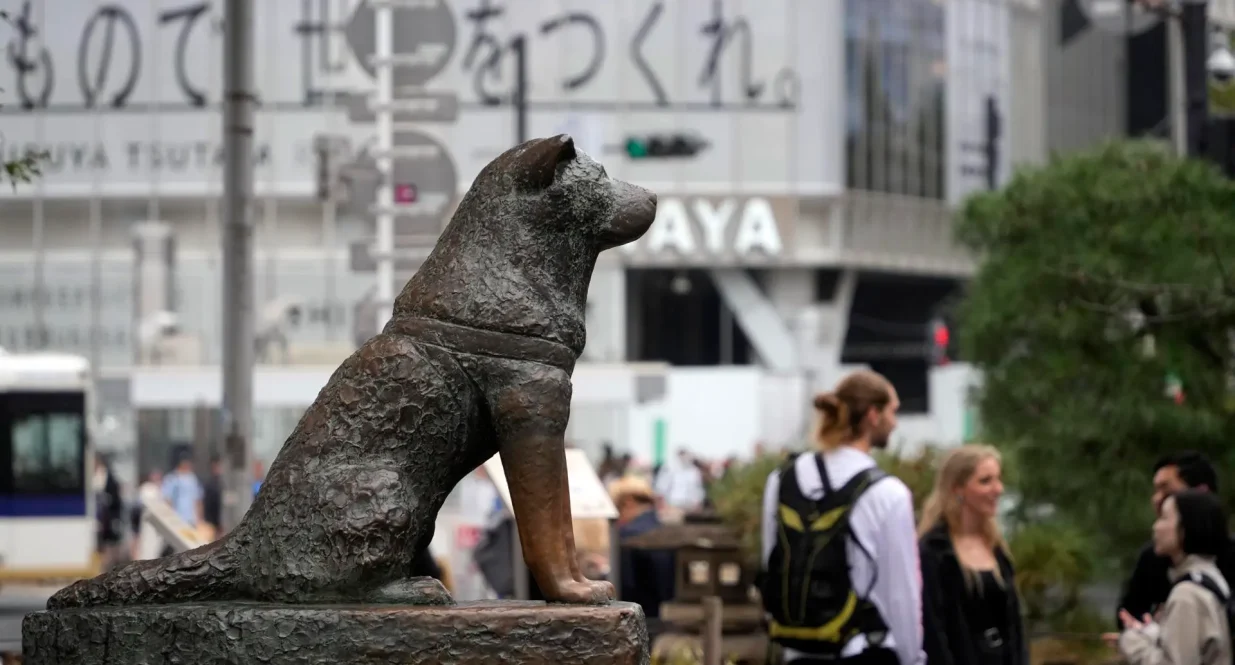 How to Understand Hachiko: A Dog’s Tale Story
